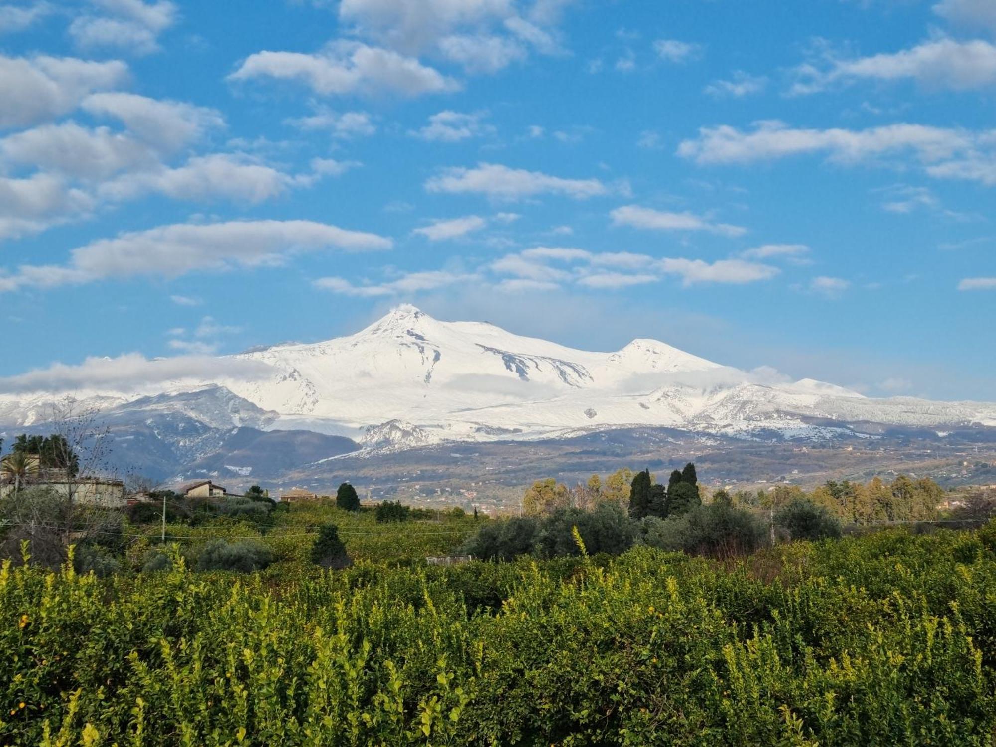 Luxury Historic Residence With Heated Pool Near Catania, Taormina, The Sea And Mount Etna Джарре Экстерьер фото